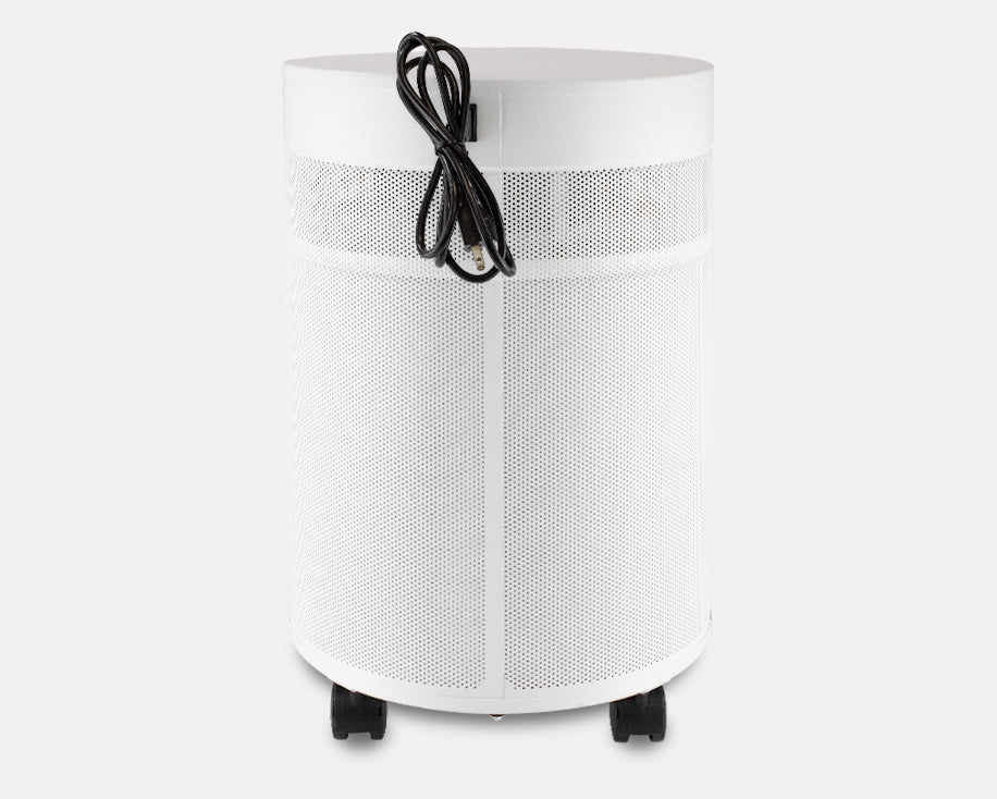 Airpura P600+ Germs, Mold and Chemicals Reduction Air Purifier