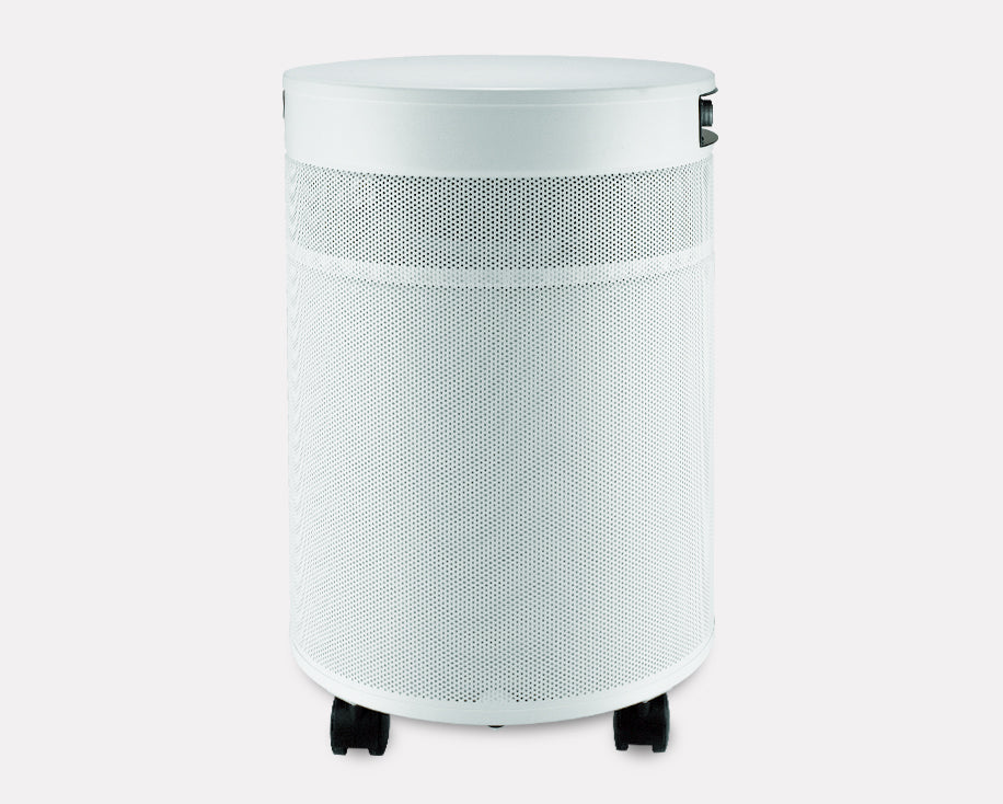 Airpura G700 DLX - Odor-Free Carbon for the Chemically Sensitive (MCS)- Plus Air Purifier