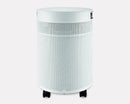 Airpura G600 DLX - Odor-Free Carbon for the Chemically Sensitive (MCS)- Plus Air Purifier