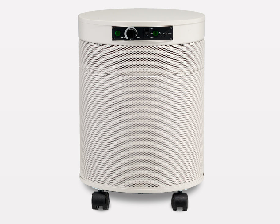 Airpura G600 - Odor-Free Carbon for Chemically Sensitive (MCS) Air Purifier